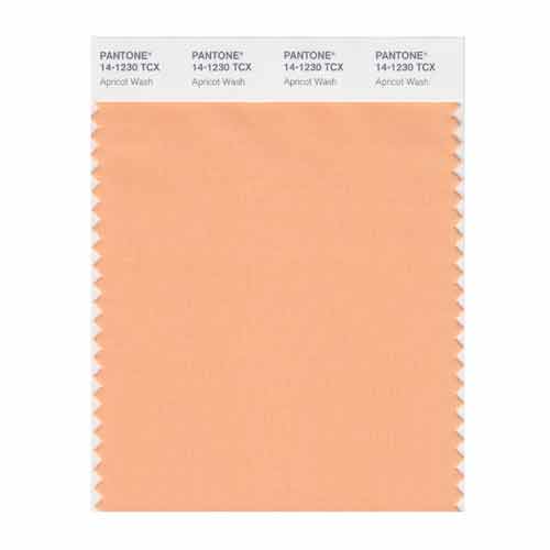 SMART Color Swatch Card