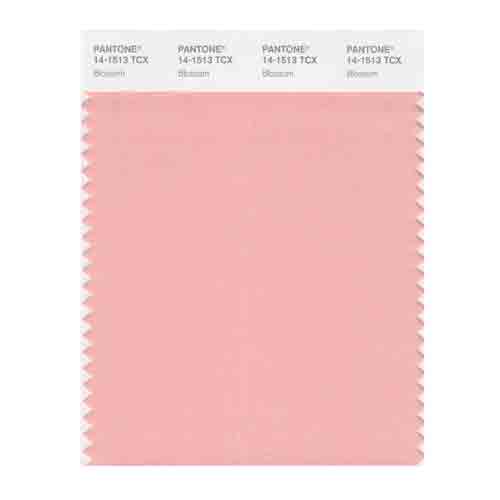 Almost Apricot) - PANTONE SMART 15-1319X Colour Swatch Card, Almost Apricot  : Buy Online at Best Price in KSA - Souq is now : Arts & Crafts