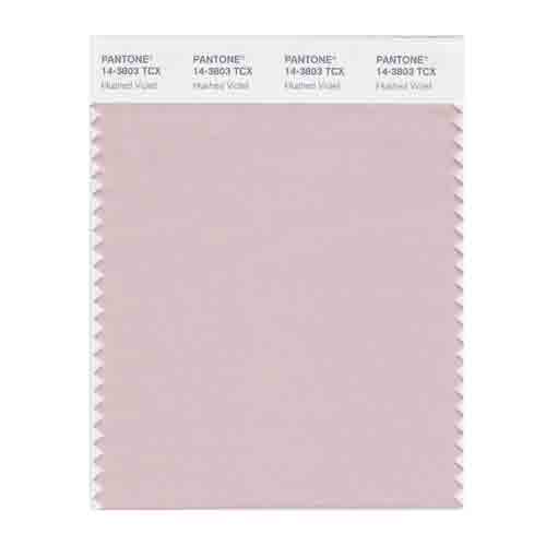 SMART Color Swatch Card