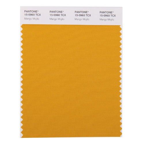 SMART Color Swatch Card