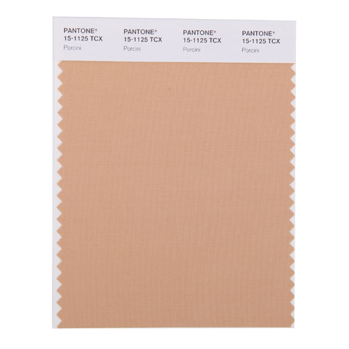 SMART Color Swatch Card