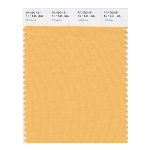 SMART Color Swatch Card