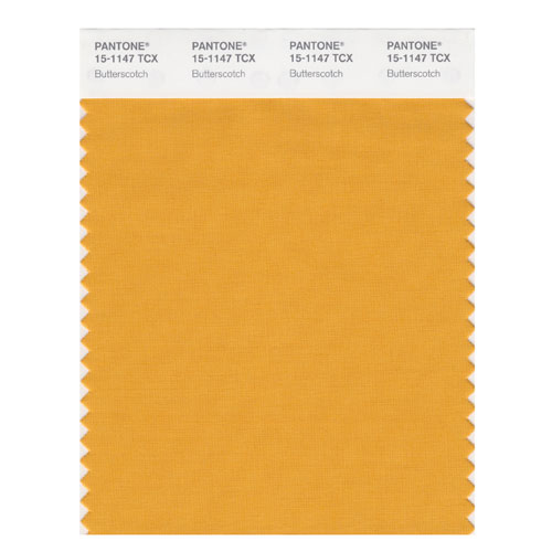 SMART Color Swatch Card