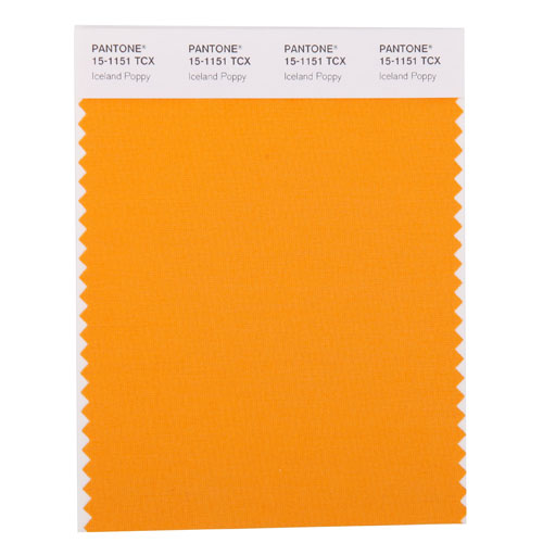 SMART Color Swatch Card