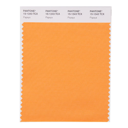 SMART Color Swatch Card