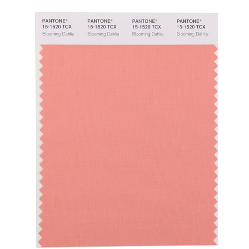 SMART Color Swatch Card