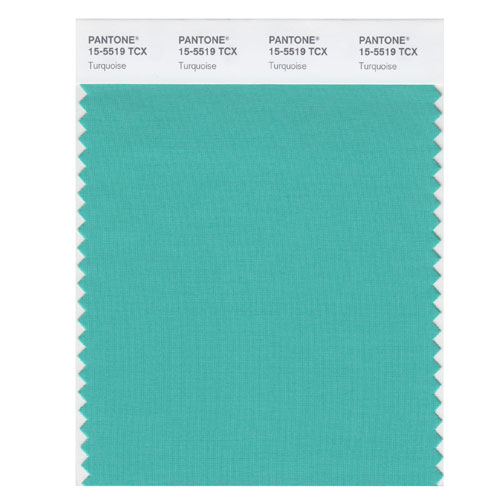 SMART Color Swatch Card