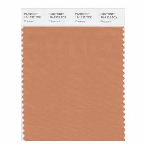 SMART Color Swatch Card