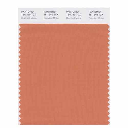 SMART Color Swatch Card