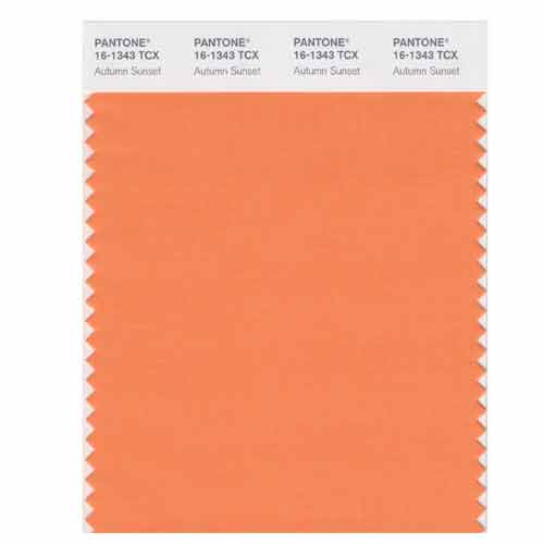 SMART Color Swatch Card