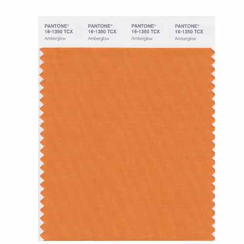 Almost Apricot) - PANTONE SMART 15-1319X Colour Swatch Card