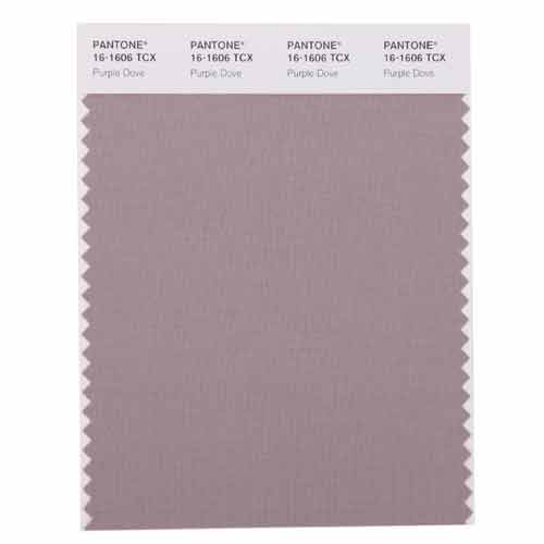 SMART Color Swatch Card