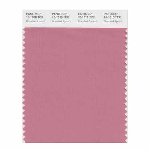 SMART Color Swatch Card