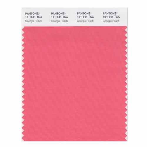 SMART Color Swatch Card