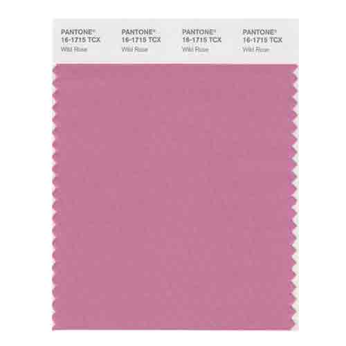 SMART Color Swatch Card