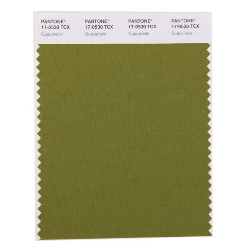 SMART Color Swatch Card