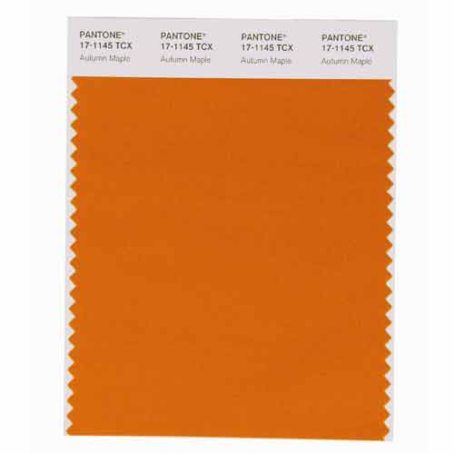 SMART Color Swatch Card