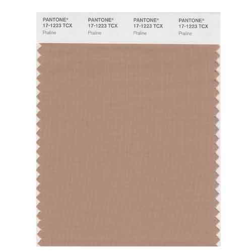 SMART Color Swatch Card