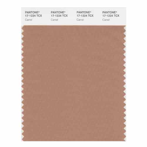 SMART Color Swatch Card