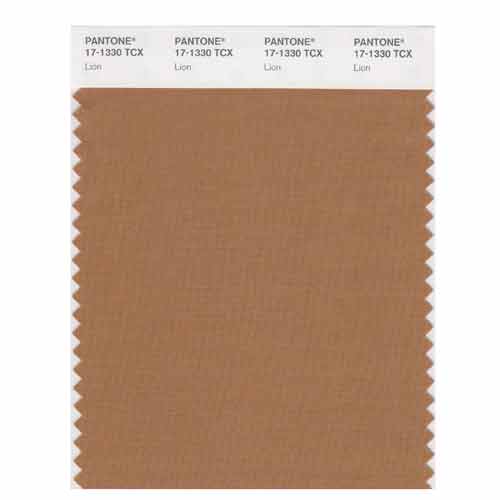 SMART Color Swatch Card