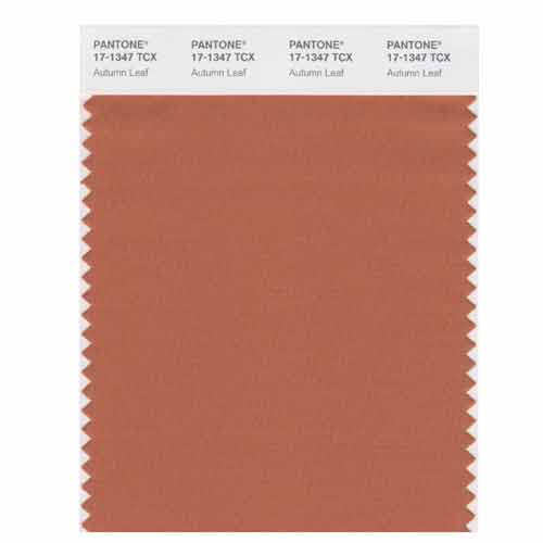 SMART Color Swatch Card