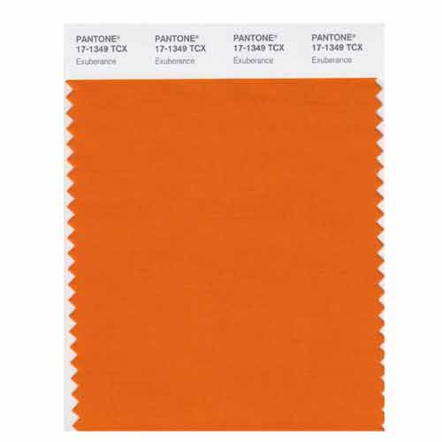 SMART Color Swatch Card