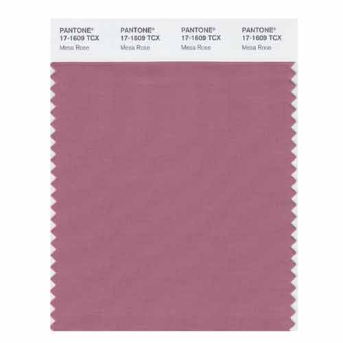 SMART Color Swatch Card