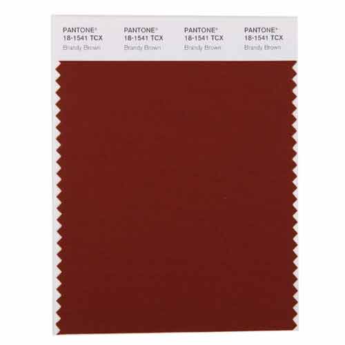 PANTONE SMART 18-1540 TCX Color Swatch Card