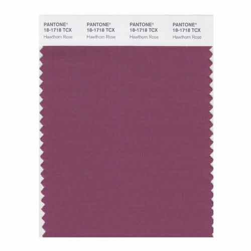 SMART Color Swatch Card