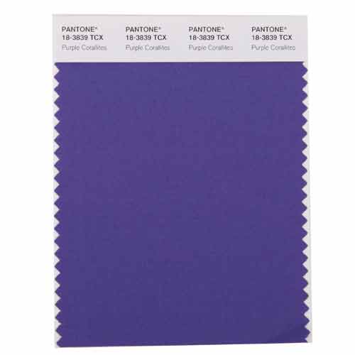 SMART Color Swatch Card